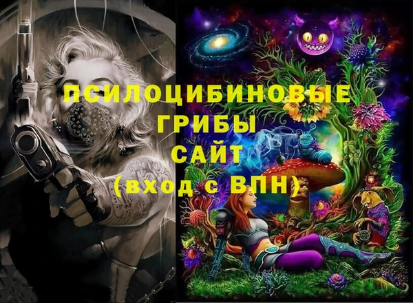 ECSTASY Ельня