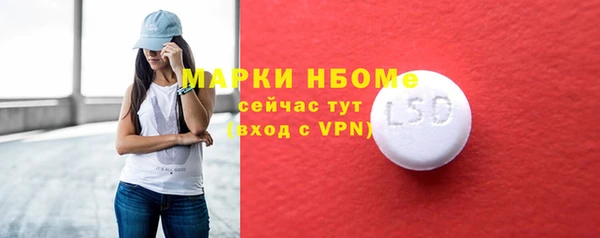 ECSTASY Ельня