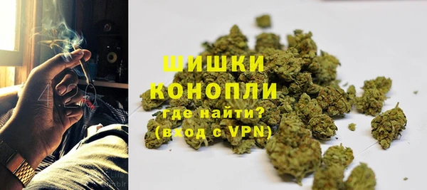 ECSTASY Ельня