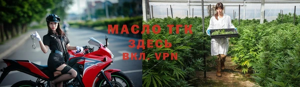 ECSTASY Ельня